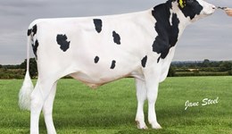 Captain sons dominate the PLI rankings